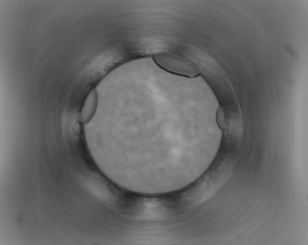 X0000113250264200910221127