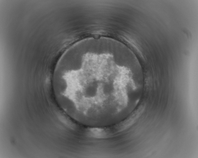 X0000113250265200910221127