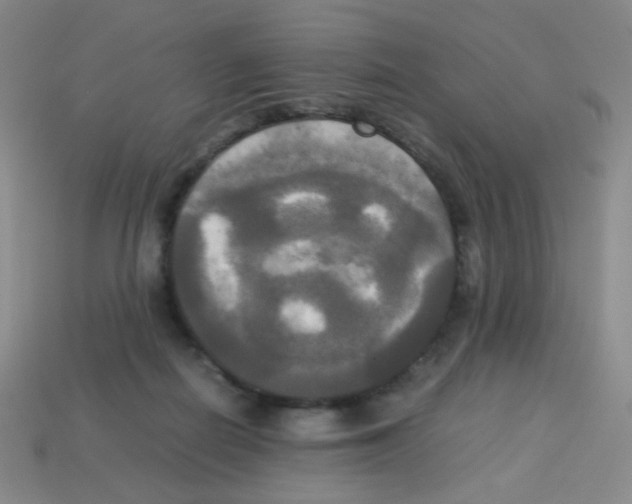 X0000113250266200910221127