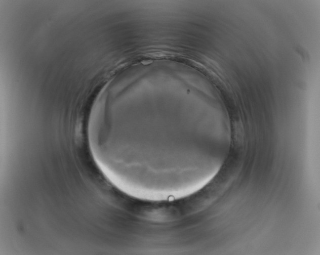 X0000113250267200910221127