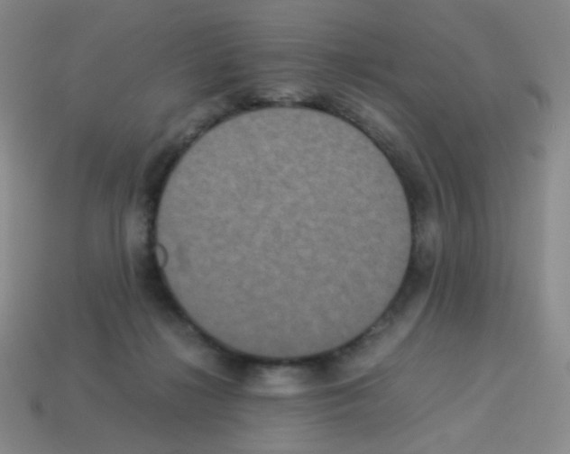 X0000113250268200910221127