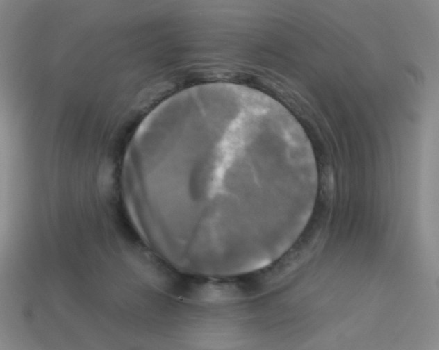 X0000113250270200910221127