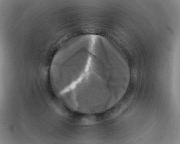 X0000113250271200910221127