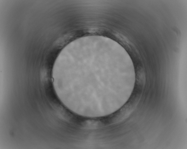 X0000113250272200910221127