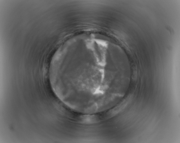 X0000113250273200910221127