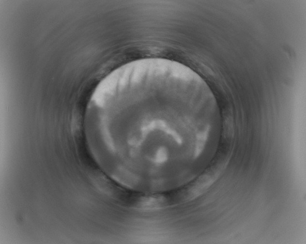 X0000113250274200910221127