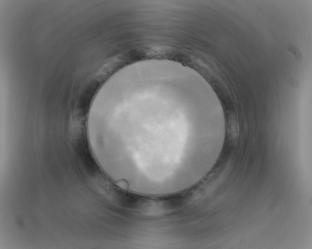 X0000113250276200910221127