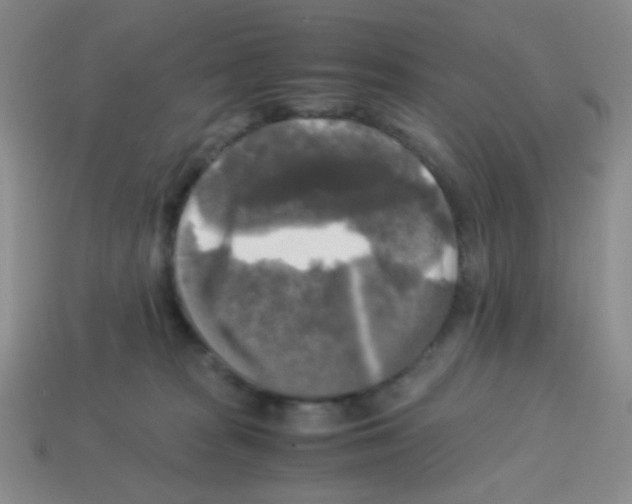 X0000113250277200910221127