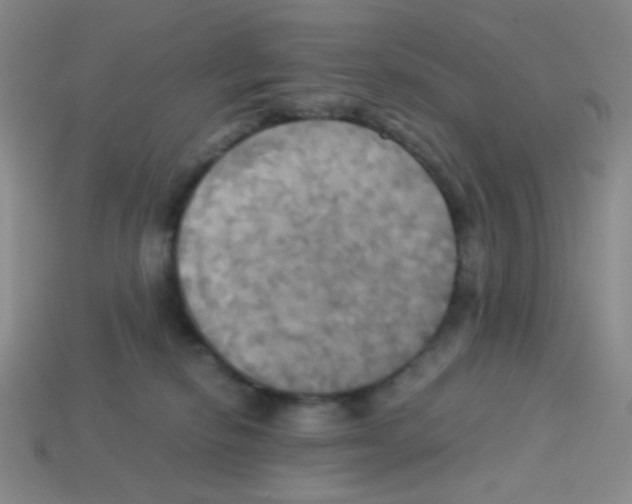 X0000113250278200910221127