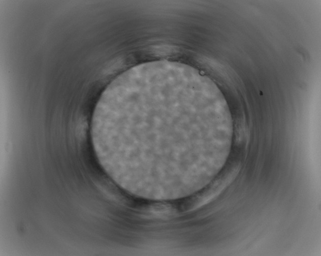 X0000113250279200910221127