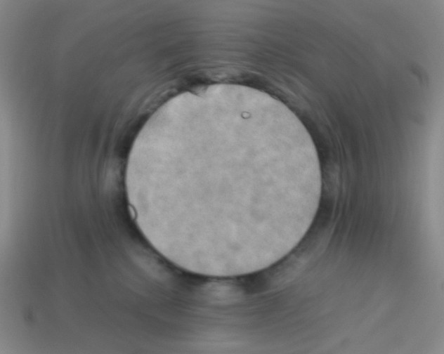 X0000113250280200910221127