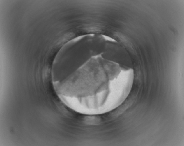 X0000113250281200910221127