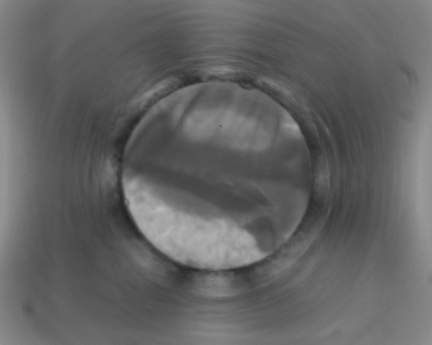 X0000113250282200910221127