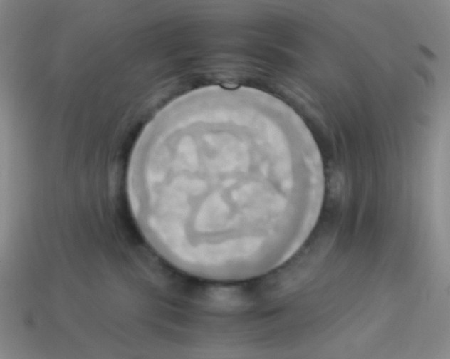 X0000113250283200910221127