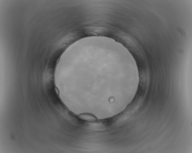 X0000113250284200910221127