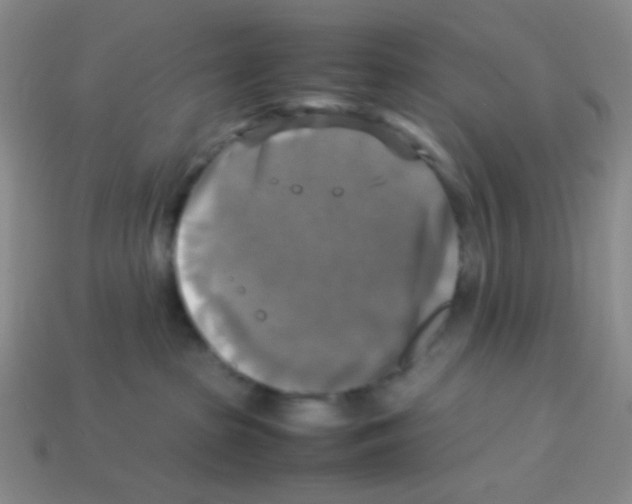 X0000113250285200910221127