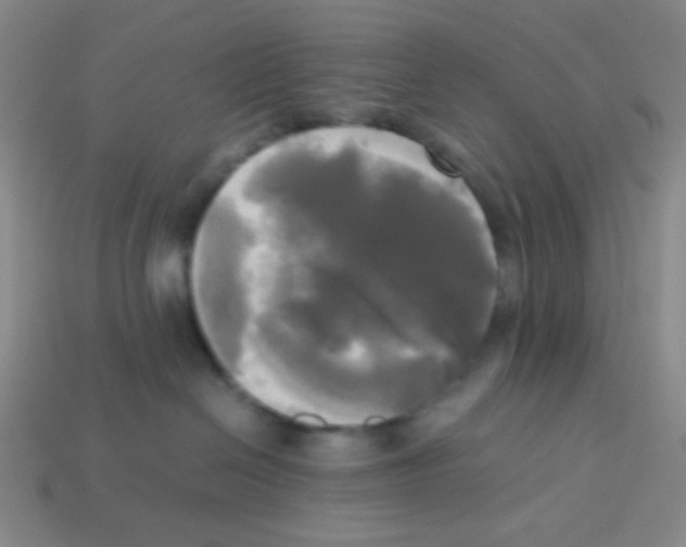 X0000113250286200910221127