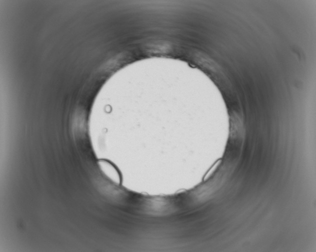 X0000113250287200910221127