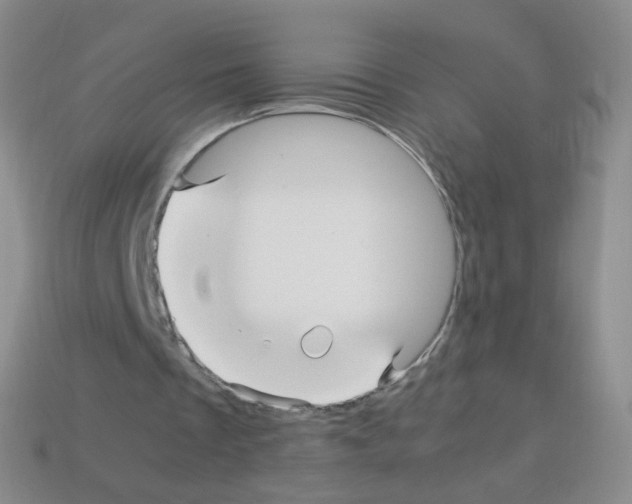 X0000113250289200910221127