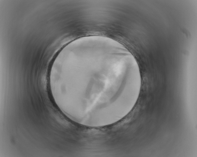 X0000113250290200910221127