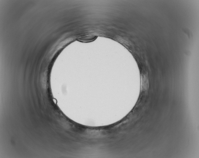 X0000113250291200910221127