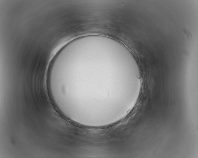 X0000113250292200910221127