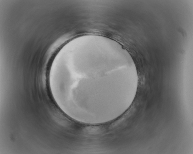 X0000113250294200910221127