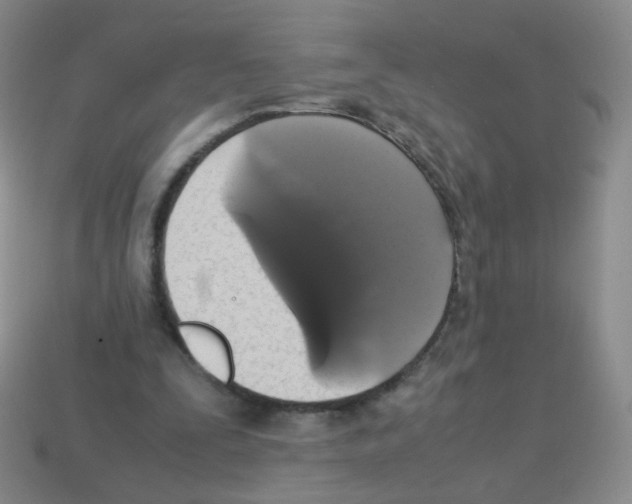 X0000113250295200910221127