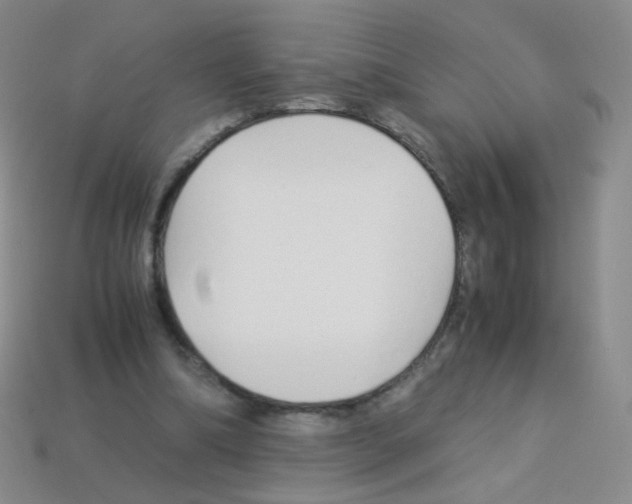 X0000113250298200910221127