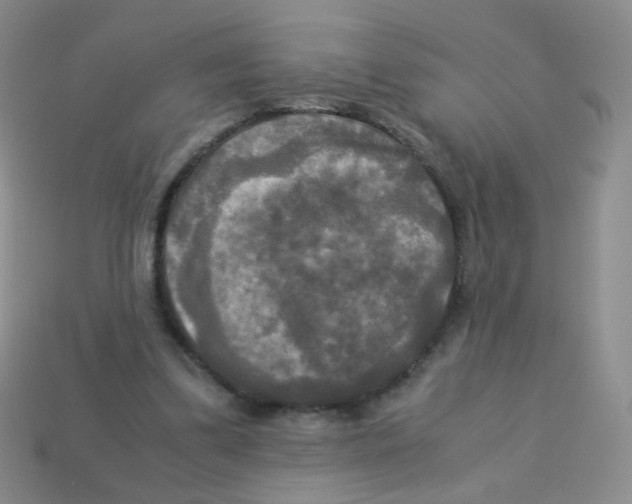 X0000113250299200910221127