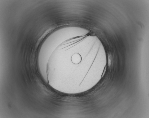 X0000113250300200910221126