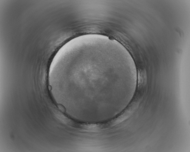 X0000113250301200910221126