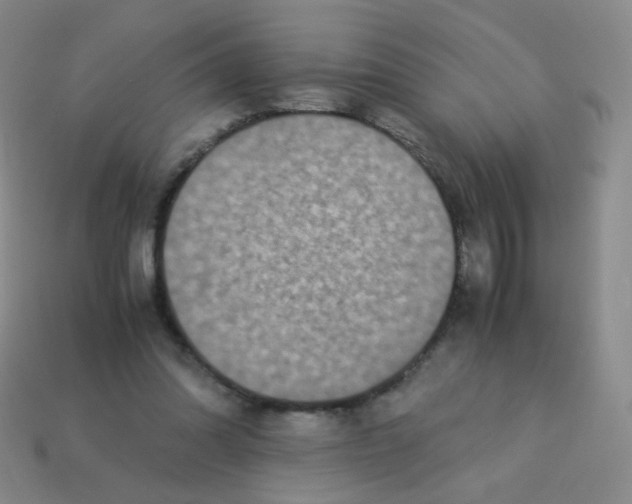 X0000113250302200910221126