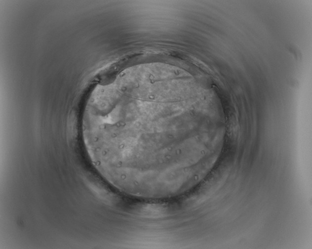 X0000113250303200910221126