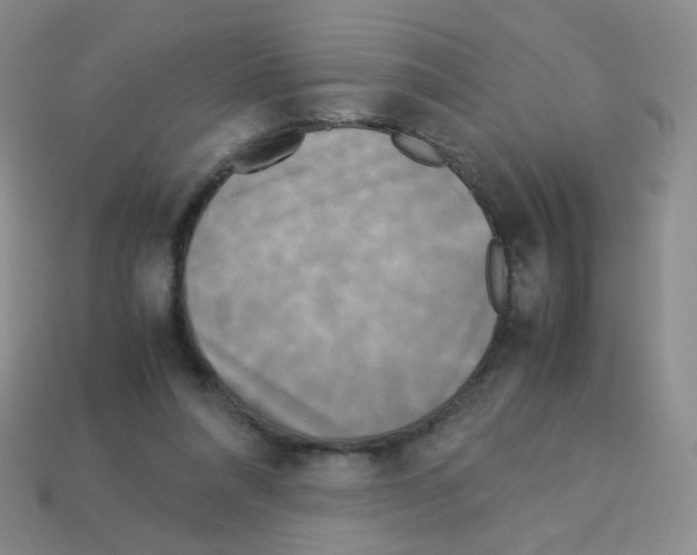 X0000113250304200910221126