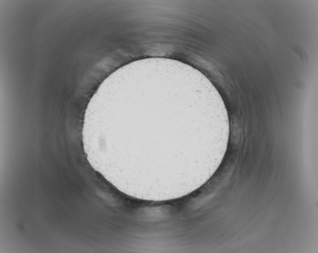 X0000113250307200910221126