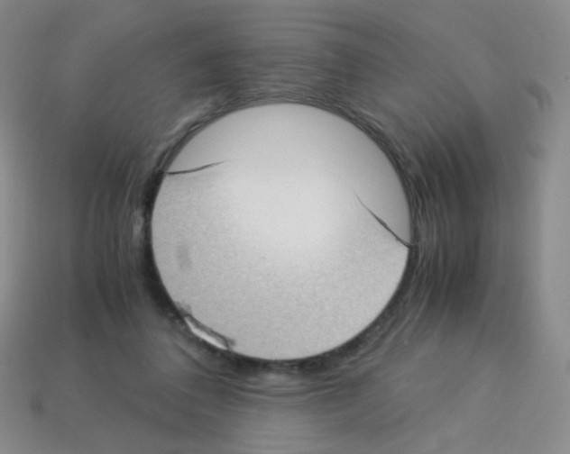 X0000113250308200910221126