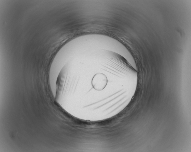 X0000113250309200910221126