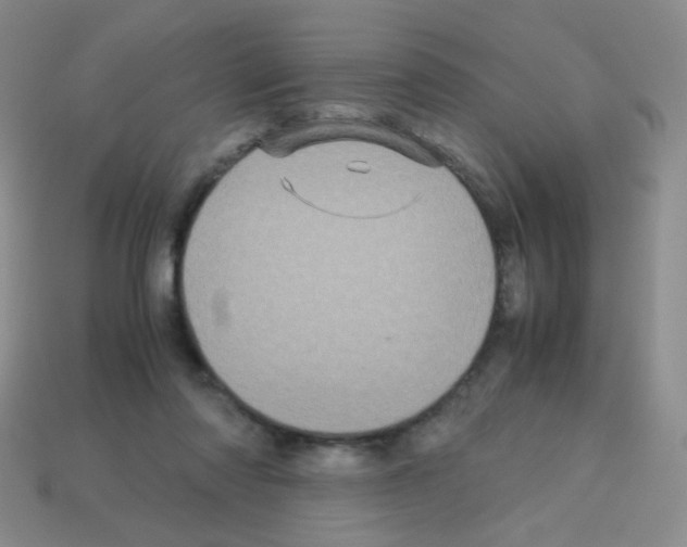 X0000113250310200910221126