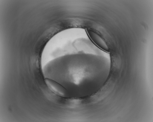 X0000113250313200910221126