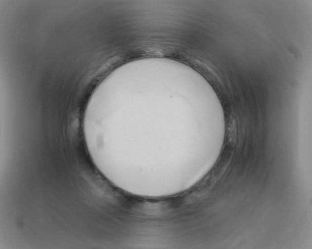 X0000113250314200910221126