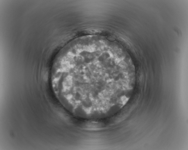 X0000113250315200910221126