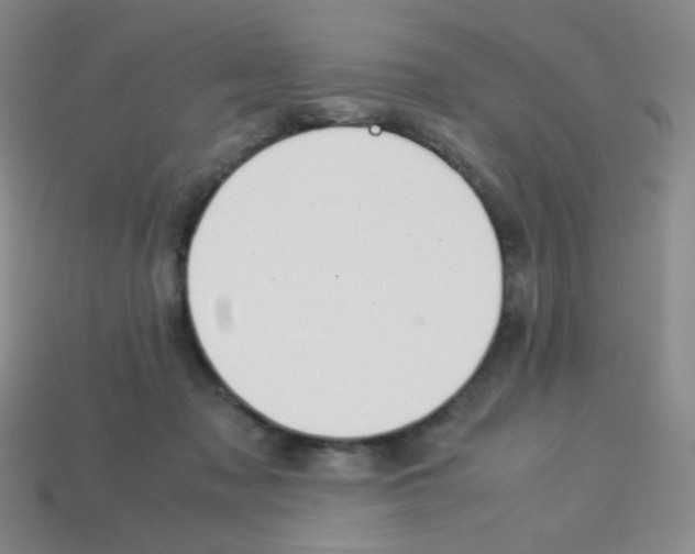 X0000113250317200910221126