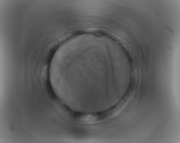 X0000113250319200910221126