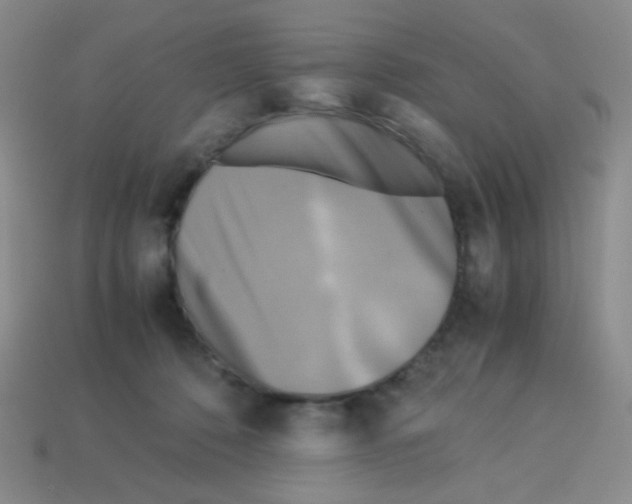 X0000113250320200910221126