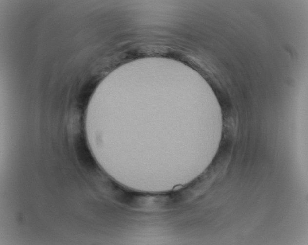 X0000113250323200910221126