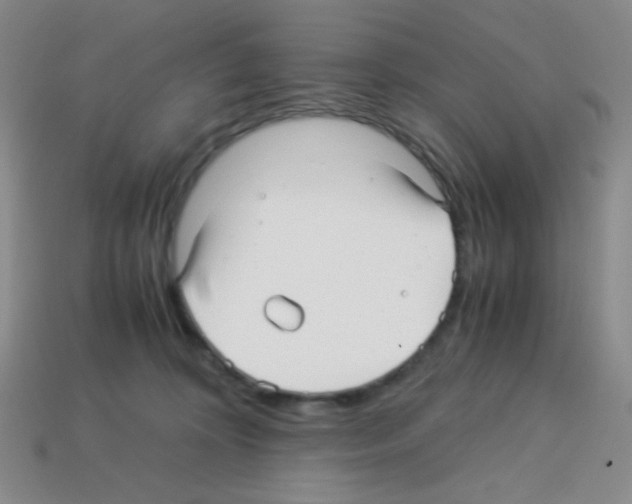 X0000113250324200910221126