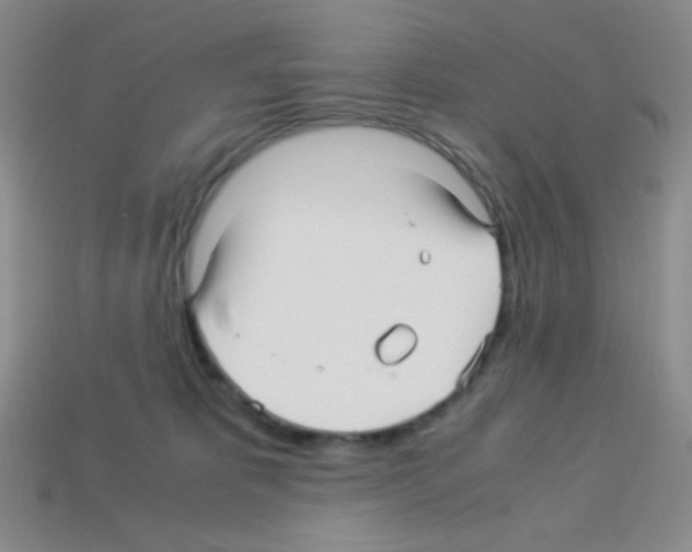 X0000113250325200910221126