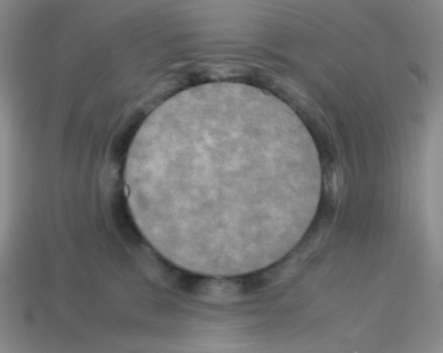 X0000113250327200910221126