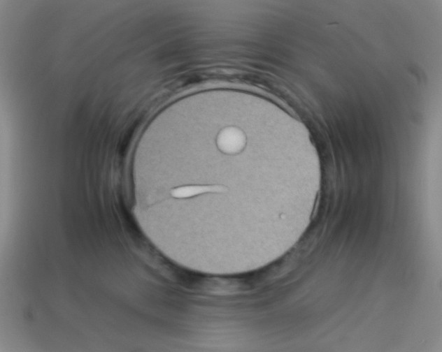 X0000113250328200910221126